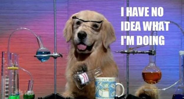 Impostor Syndrome Dog