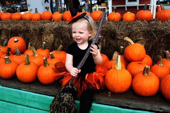 1376482_10153321357540414_560930635_n