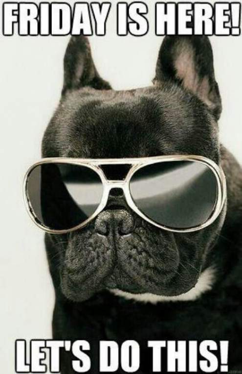 2bca171ed797e1e573bbe7558bbecda1