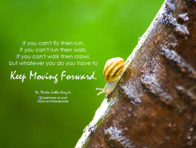 9024714839_be4c562dd7_b