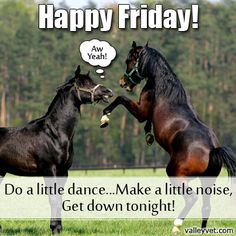 193b71e9c33621ec4023cd0a4c788561