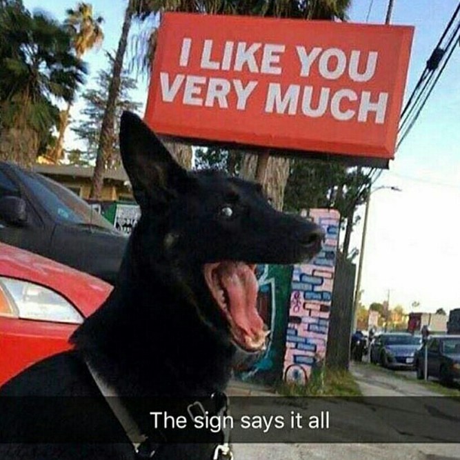 SK - I like you very much