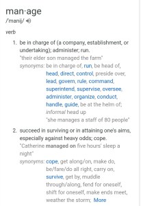 SK - Manage Definition