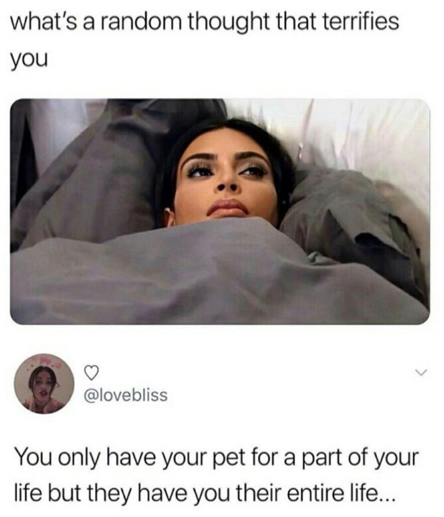 You only have your pet for a part of your life, but they have you their entire life...