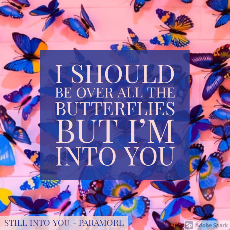 Understanding the Lyrics: Still Into&nbsp;You