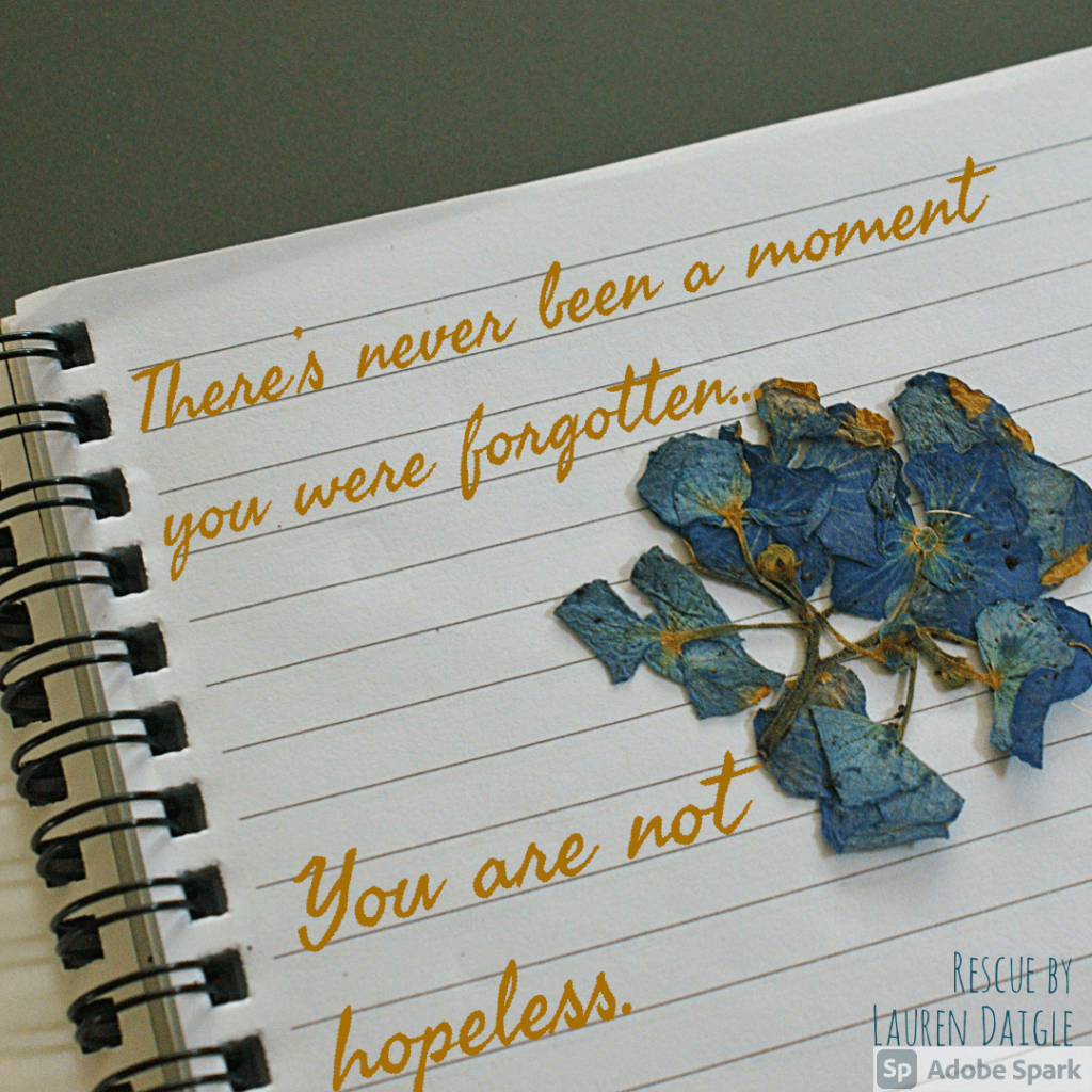 There's never been a moment
You were forgotten
You are not hopeless
-Lyrics for Rescue by Lauren Daigle