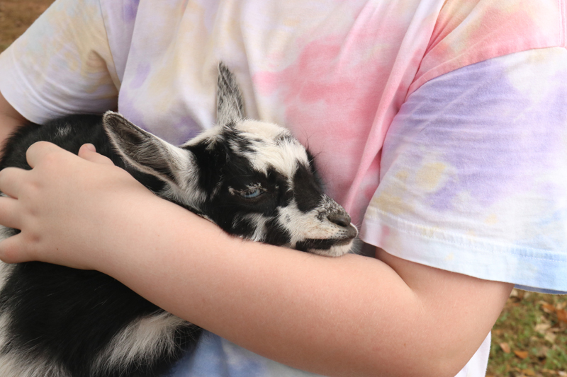 SK - Rose Therapeutic Farm 03