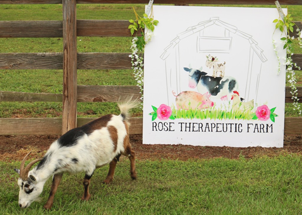 SK - Rose Therapeutic Farm 05
